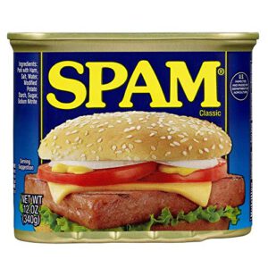 SPAM - CLASSIC REGULAR 340 GR