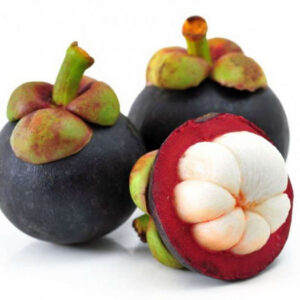 Fresh Mangosteen per pack 500gr
