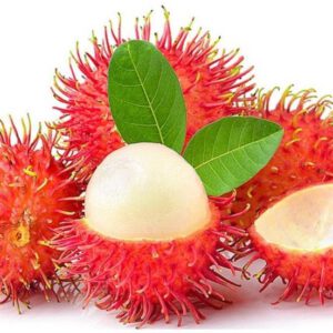 Fresh Rambutan p/st